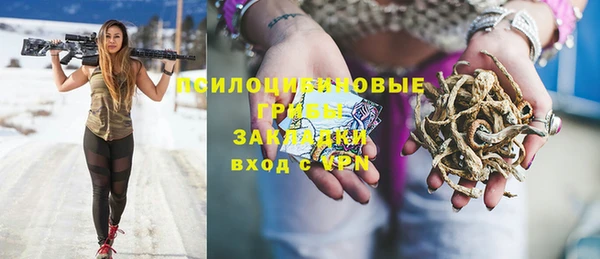 mdpv Куйбышев