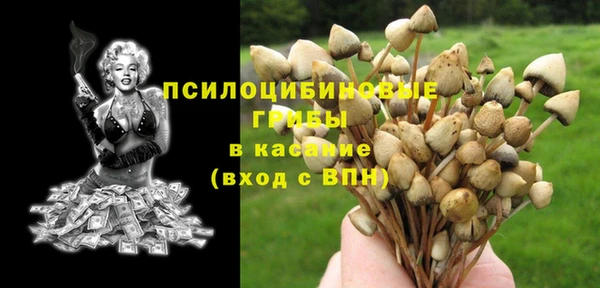 эйфоретик Кукмор